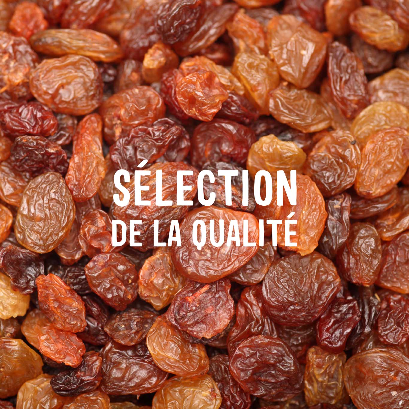 Man inspecting baked goods